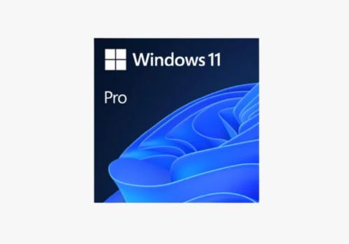 Microsoft Windows 11 Professional 64Bit OEM | FQC-10528